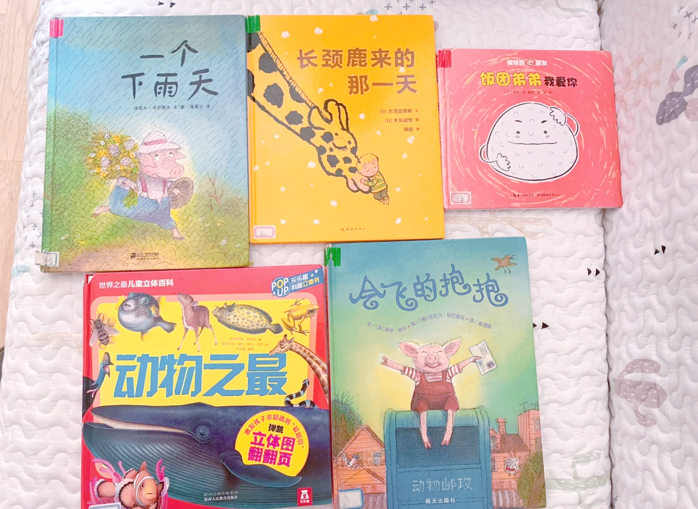 动物世界中的奇妙之旅，驴的性行为探索-第2张图片