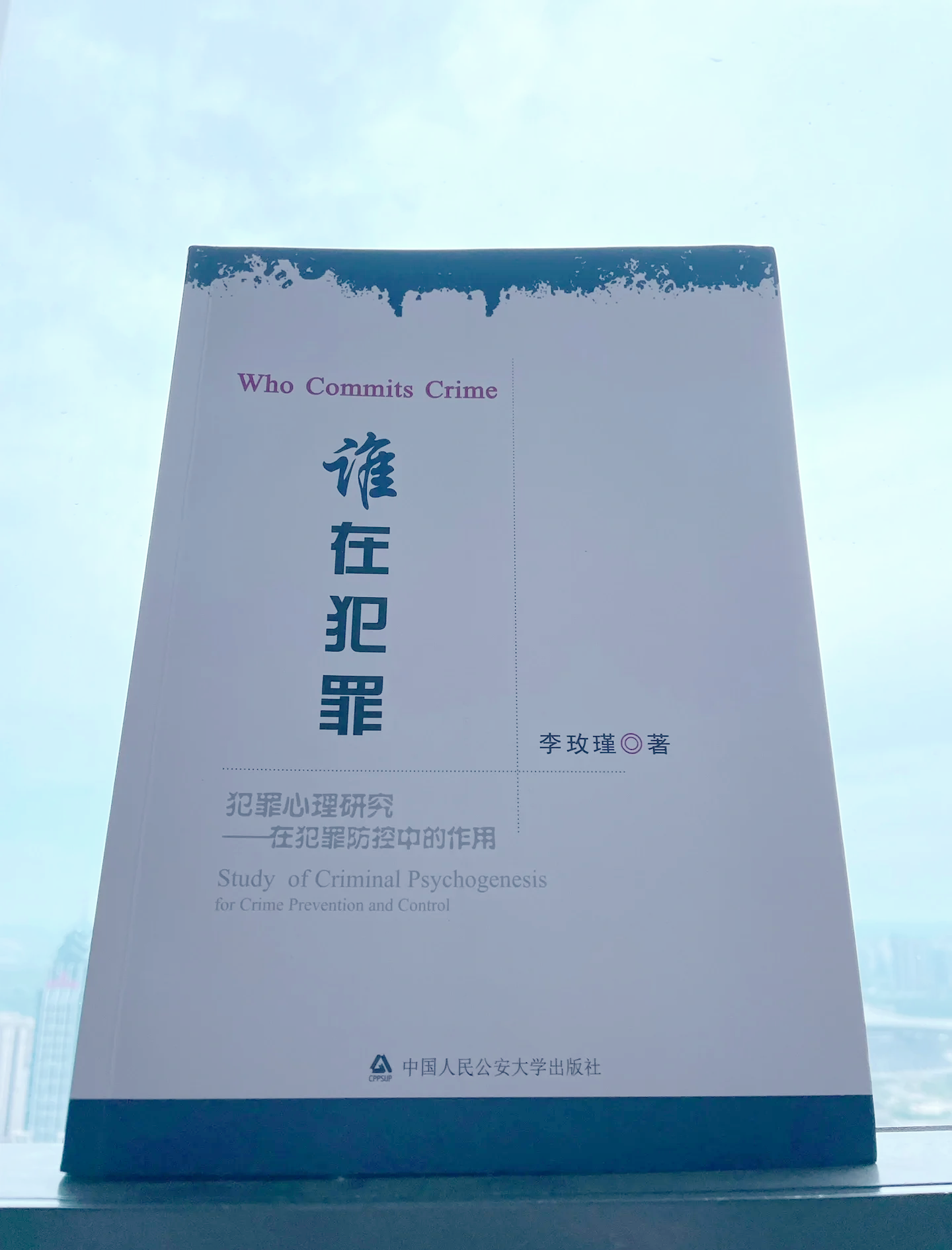 犯罪大师犯罪大师，探索犯罪心理与法律智慧