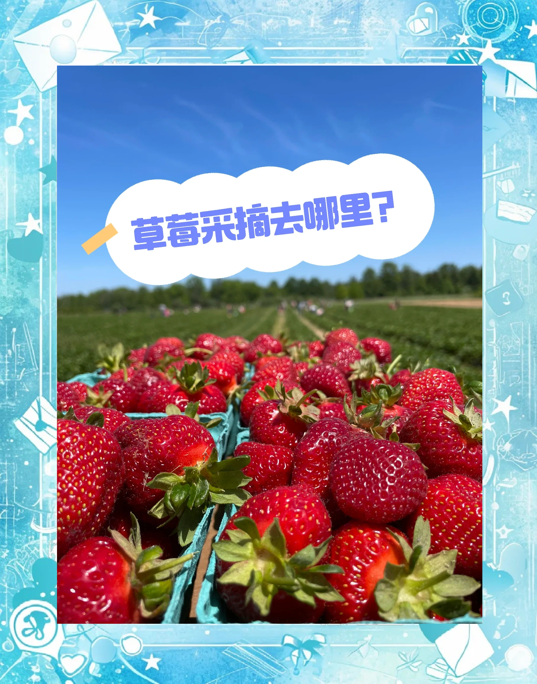 草莓视频安卓免费下载草莓视频安卓免费下载的便捷与乐趣-第1张图片