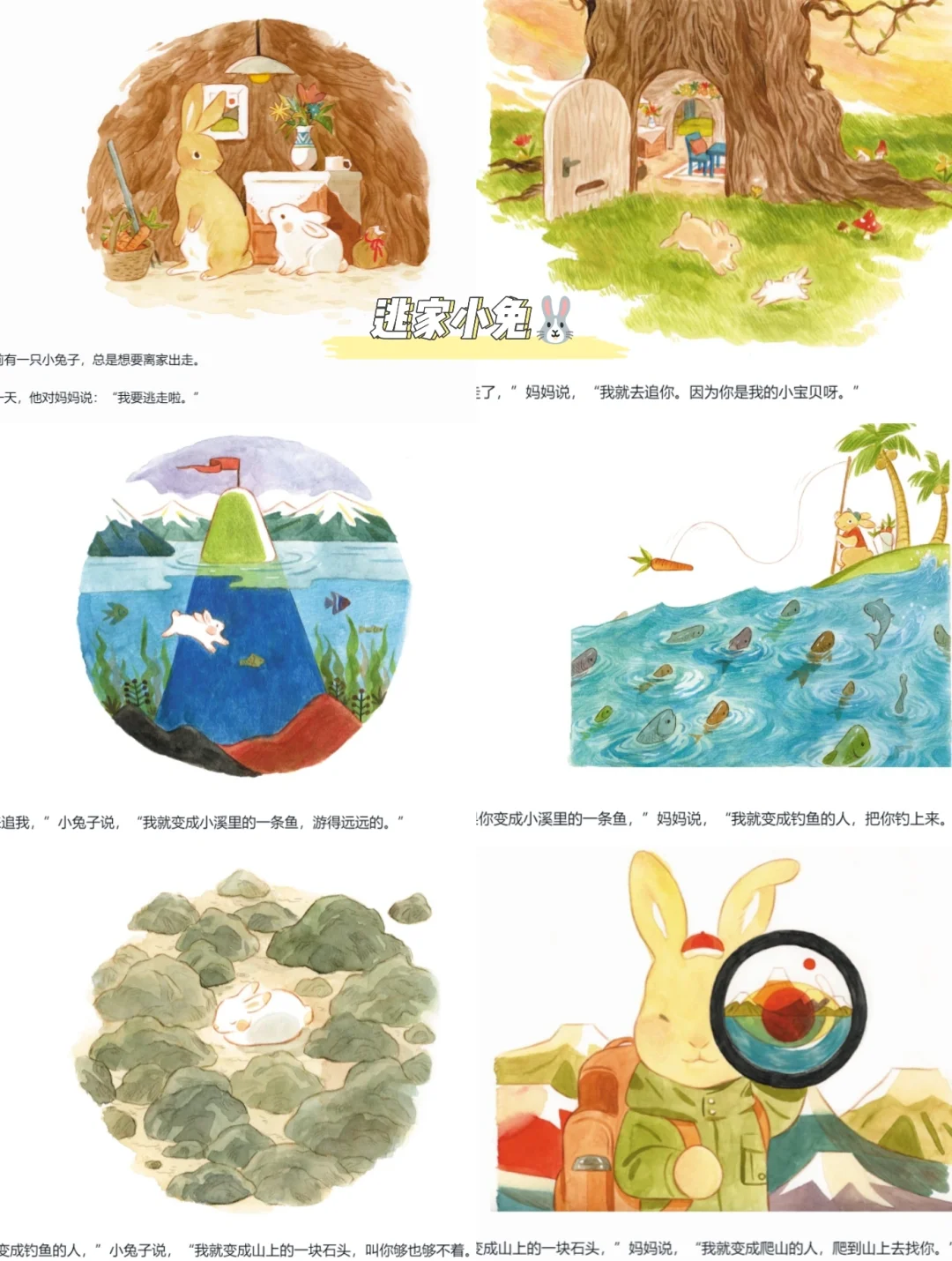 晚上怎么玩自己的小兔兔晚上如何与小兔兔共度欢乐时光-第1张图片
