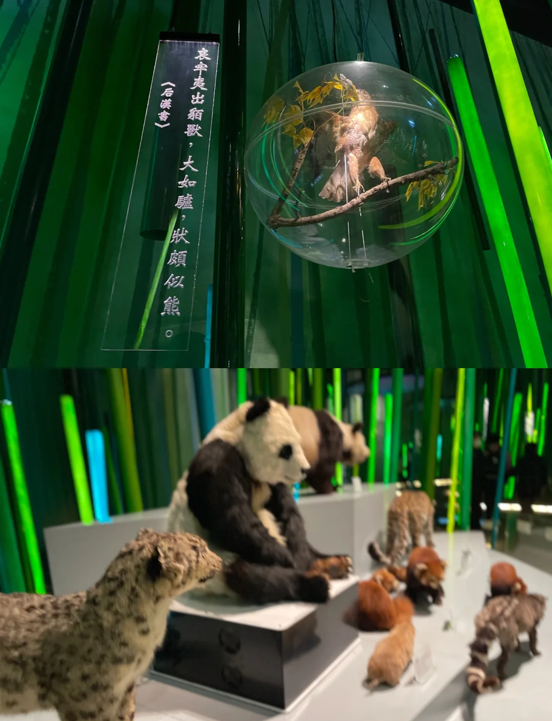 午夜影院视费X看，一场视觉盛宴的深度体验-第2张图片