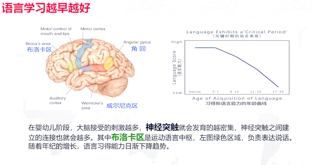 Autocad学习之路，优质网站的探索与选择-第1张图片