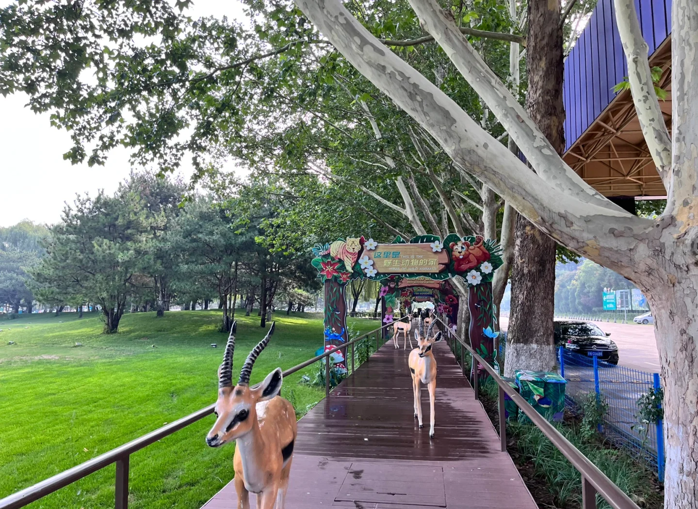 黑石岩窟探险之旅，如何抵达的探索与发现