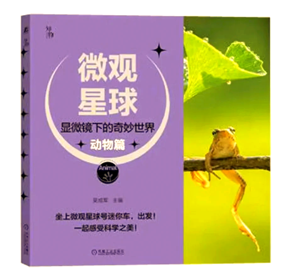 世界上最小的B探索世界上最小的B——微观世界的奇妙之旅-第1张图片
