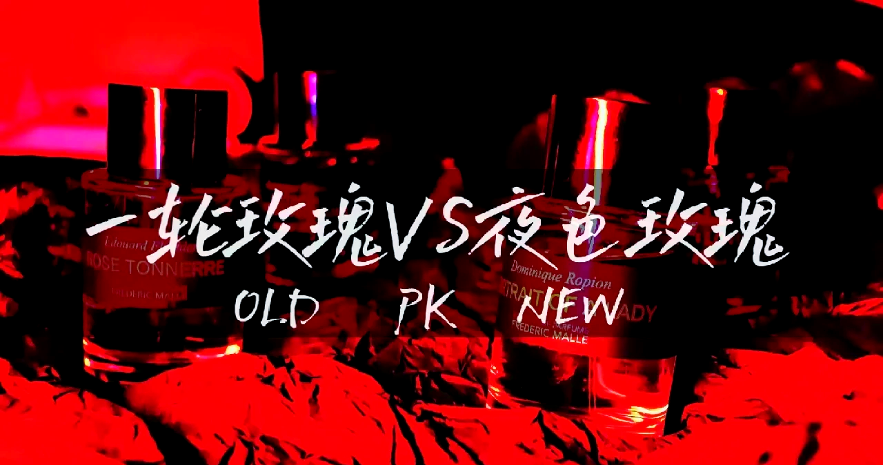 无人区玫瑰与夜色玫瑰，独特之美，各具风采-第2张图片