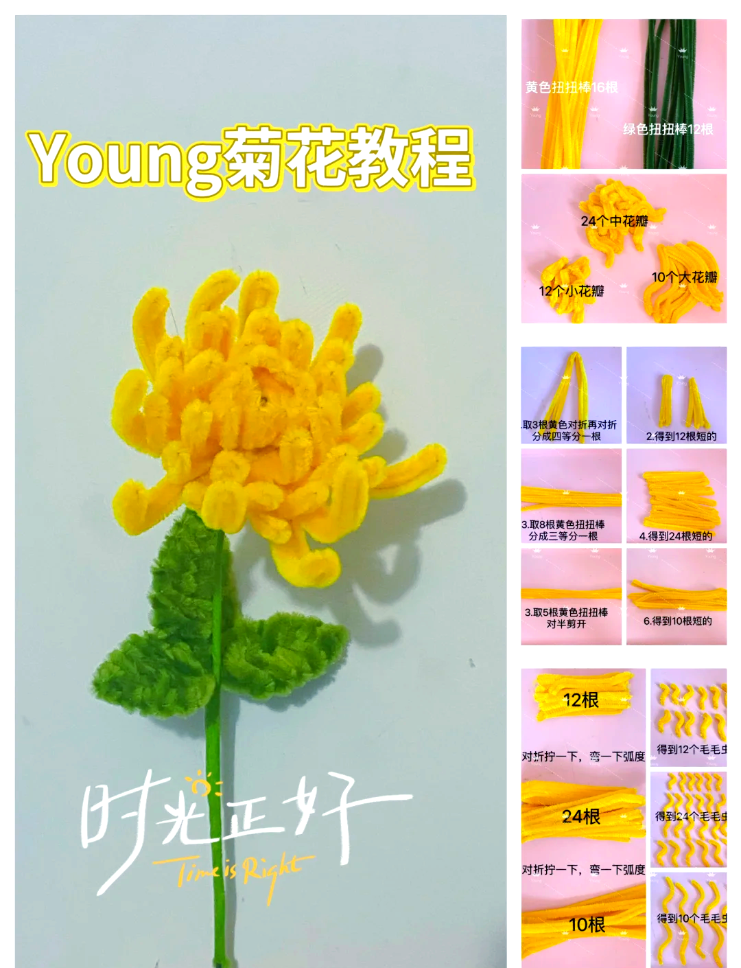 棉签的微妙之旅，探索菊花深处的奥秘-第1张图片