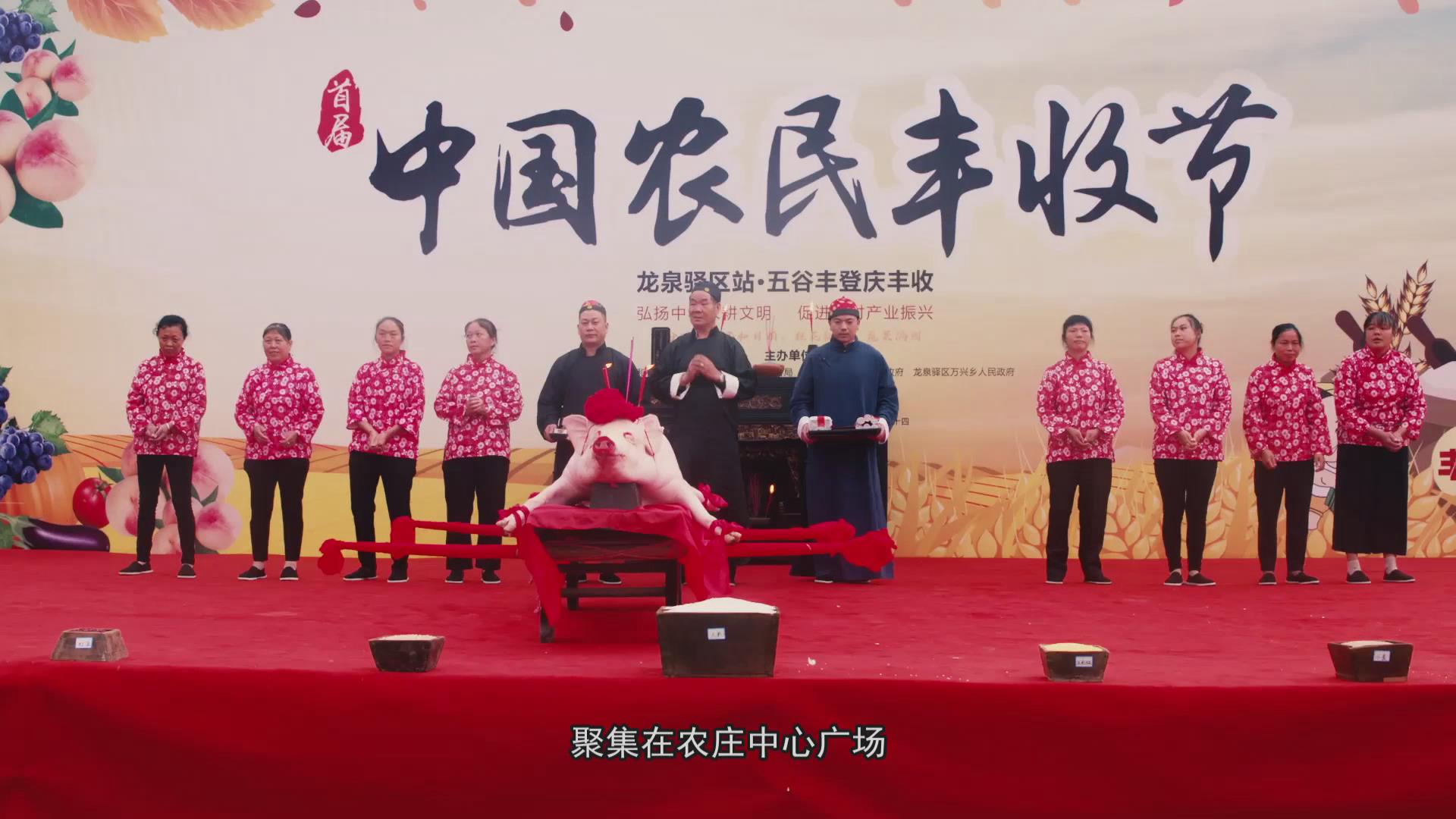 博然影视站博然影视站，影视文化的璀璨明珠