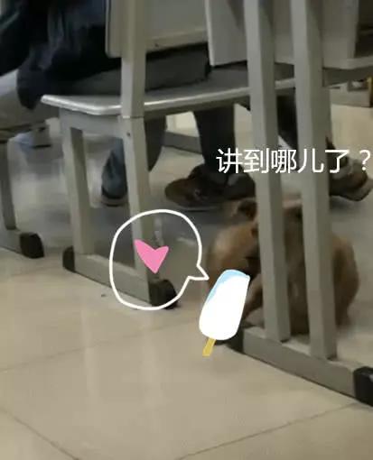 网黄蜂腰困困狗网络文化中的网黄现象-第1张图片
