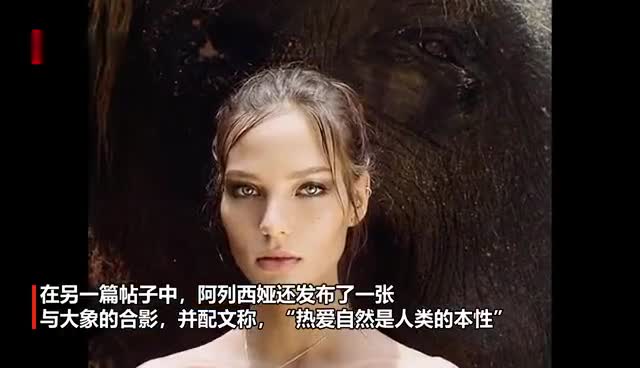 大象蕉的奇妙世界，探索与发现大象蕉在线视频网站-第3张图片