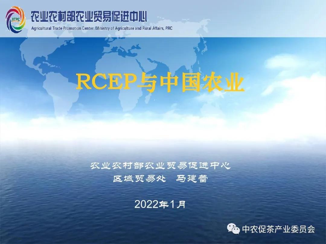 国精产品一二三区详细解析-第3张图片