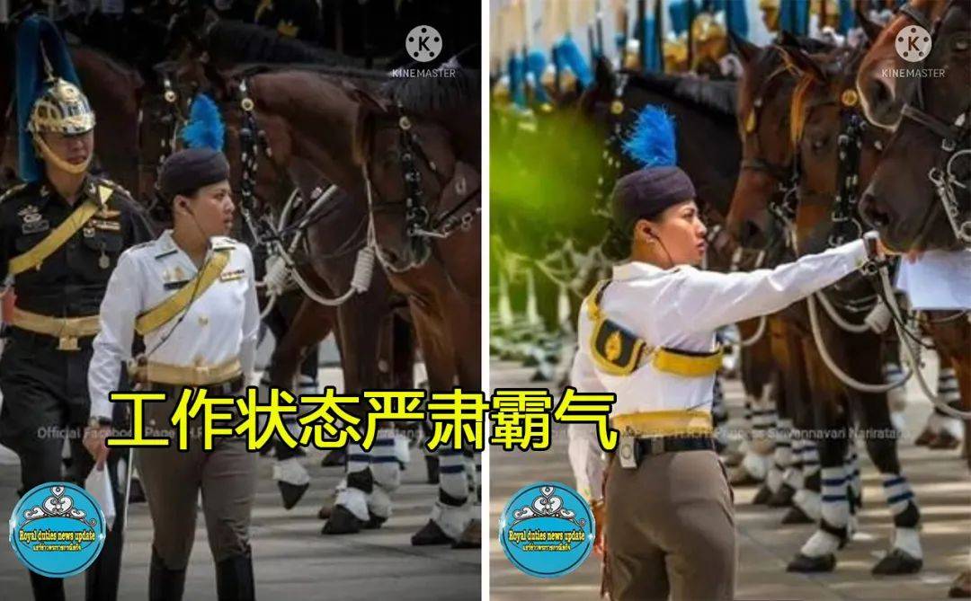 皇家共享小公主宁欢的成长故事-第2张图片