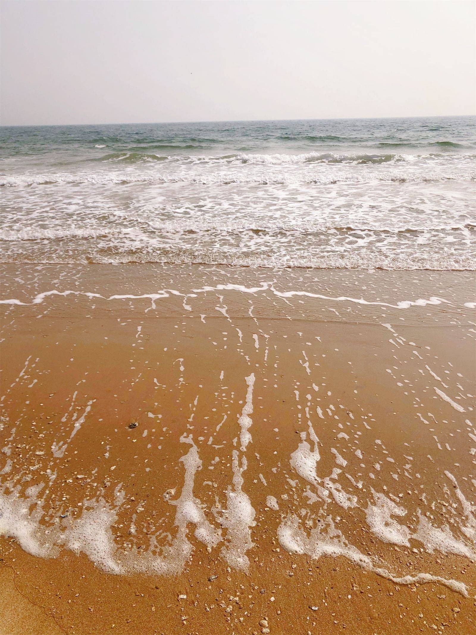海边门票多少钱海边的门——探索未知的旅程-第3张图片