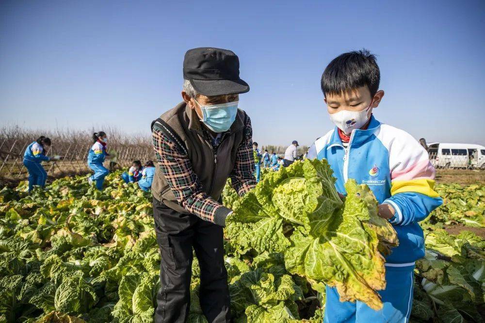 播放拔萝卜压腿舞蹈的魅力与乐趣-第1张图片