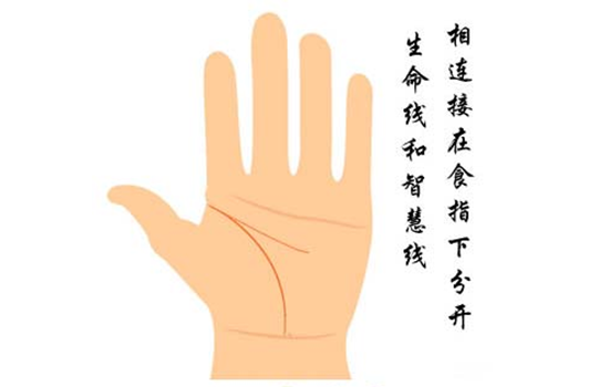 生命线 攻略生命线攻略，探索与成长的旅程-第2张图片