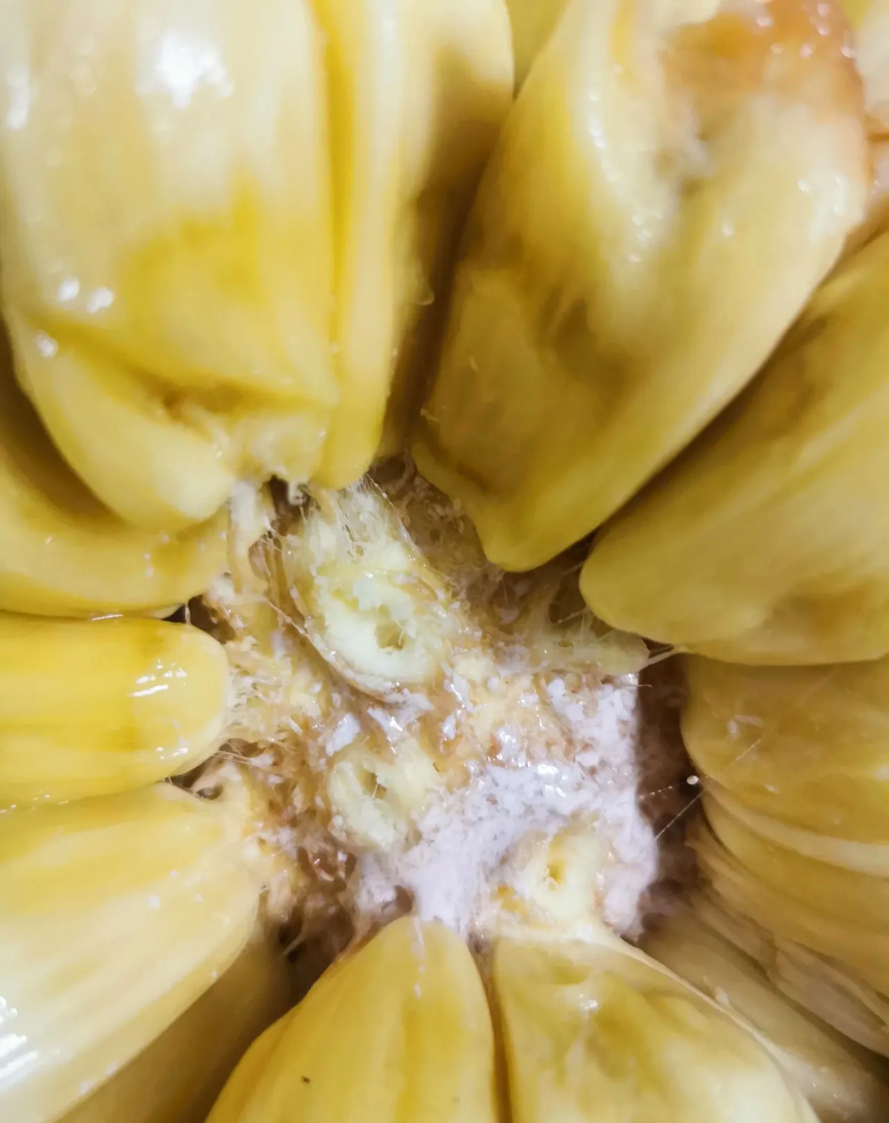 菠萝蜜视频app在线观看探索菠萝蜜视频app的在线观看体验-第1张图片