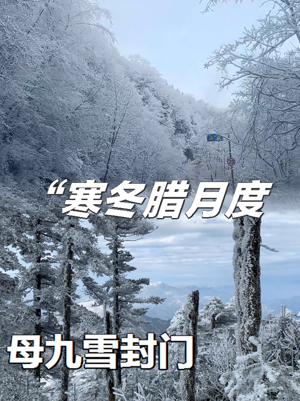 寒冬之咬怎么用寒冬之咬，冷冽中的坚韧与希望-第1张图片