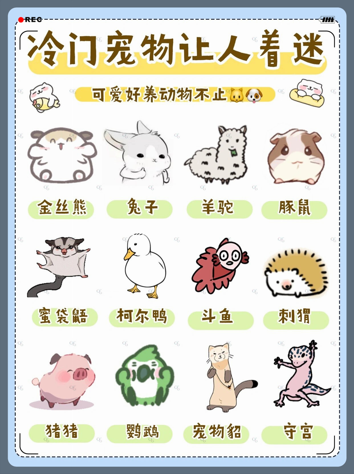 探索WRITEAS小玩具的魅力与乐趣-第1张图片