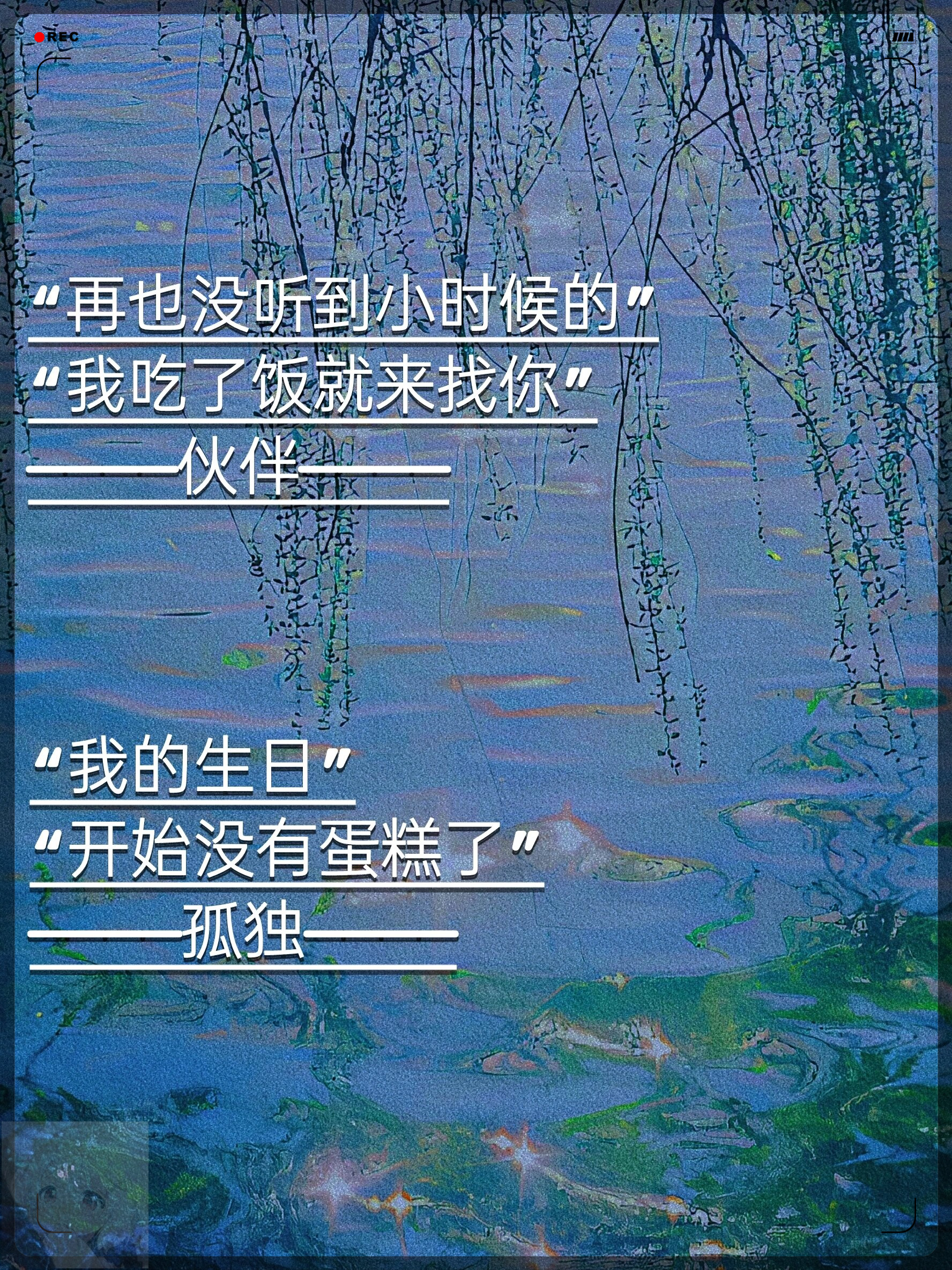 爸爸的智慧之语，家里无人时的自由与责任