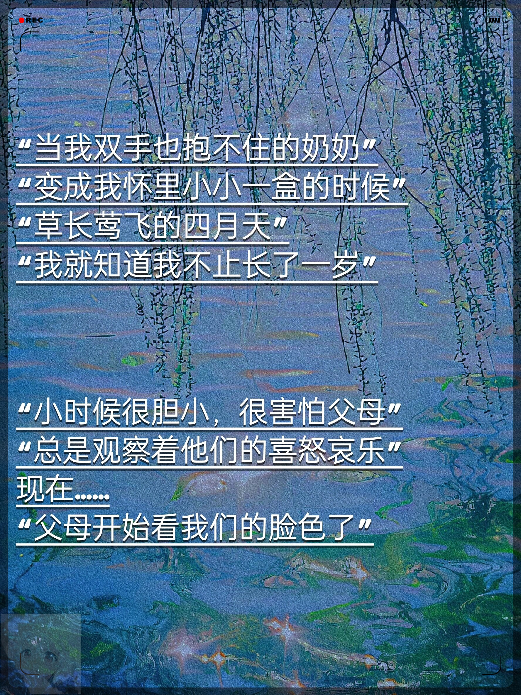 爸爸的智慧之语，家里无人时的自由与责任-第3张图片