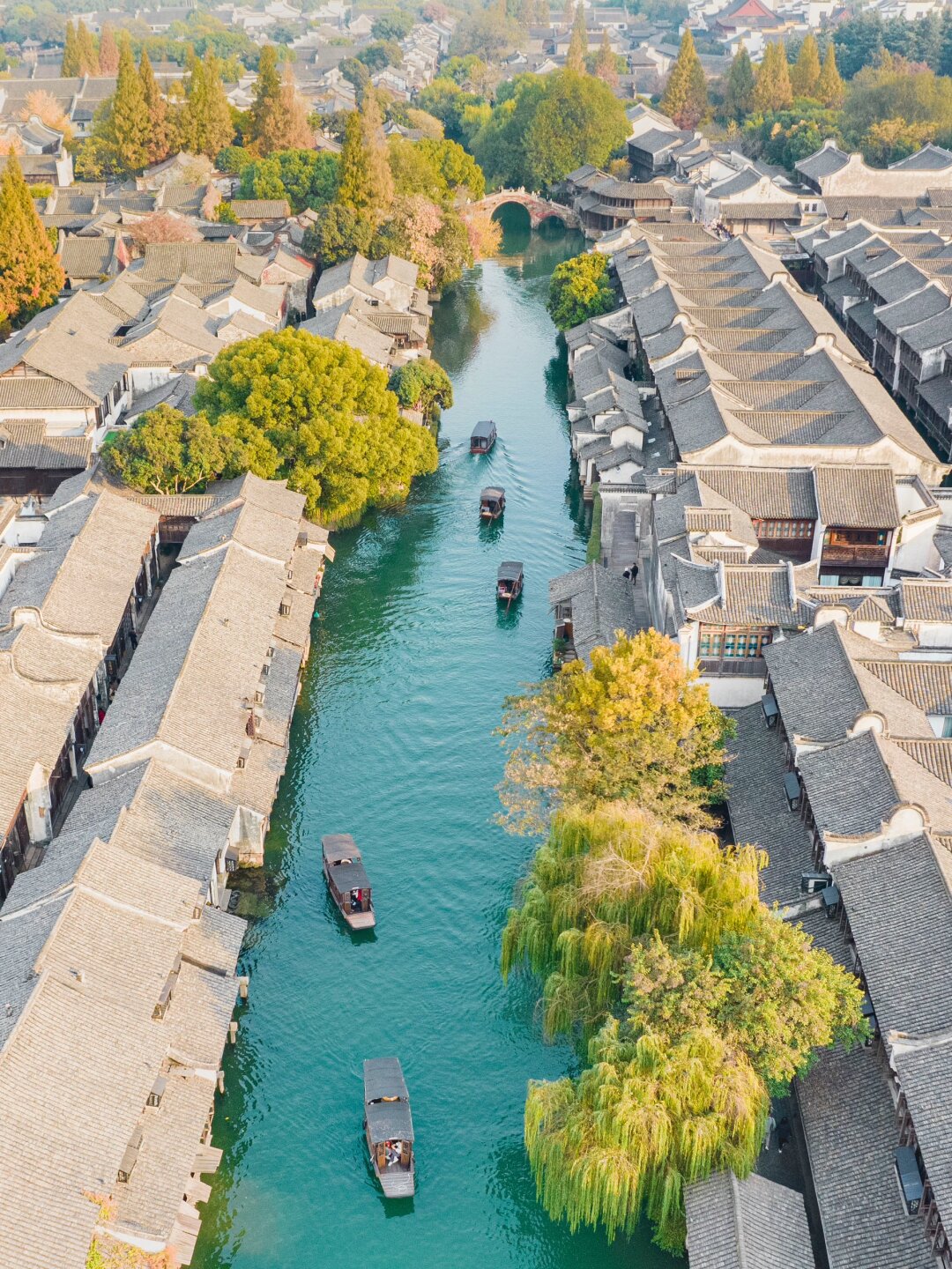 把我拉到公交最后一排时光的角落，最后一排的回忆