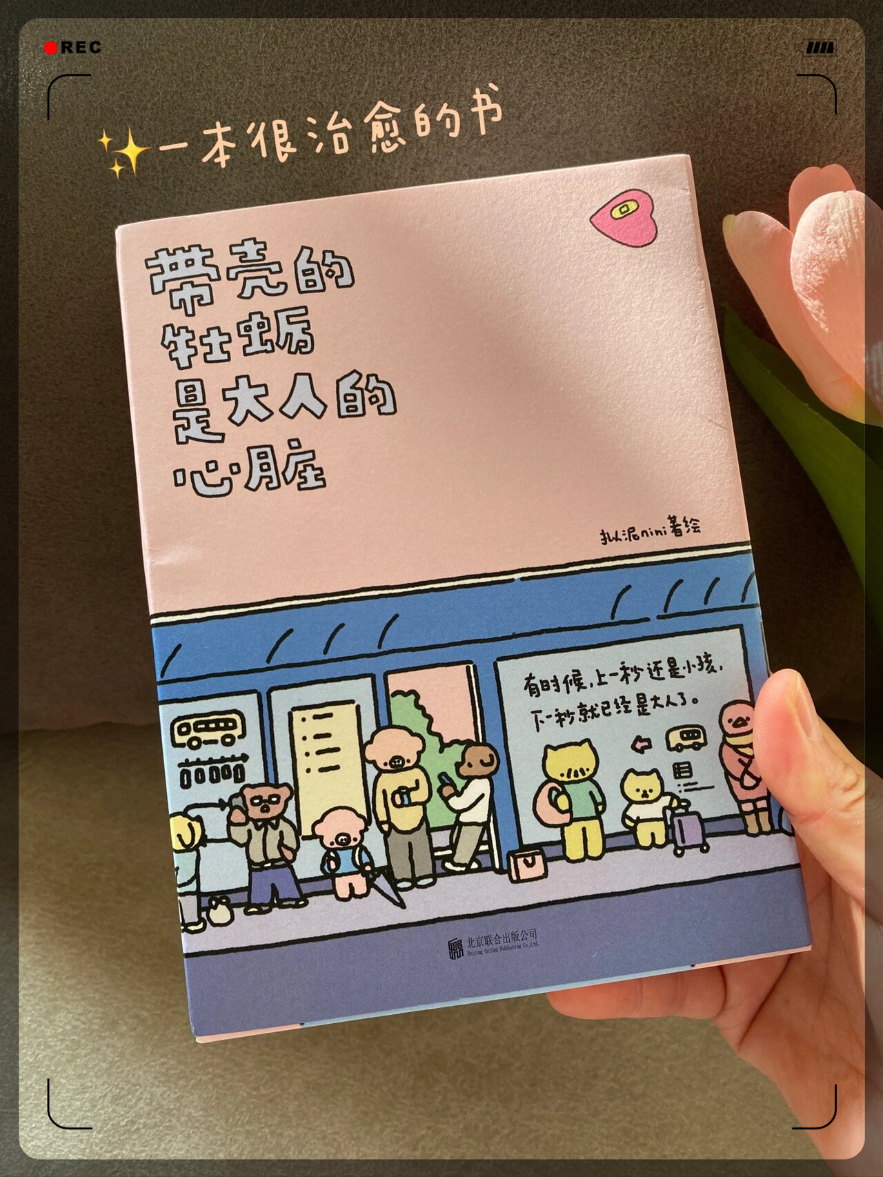 关于成人视频内容的探讨，一区二区三区的理解与思考-第1张图片