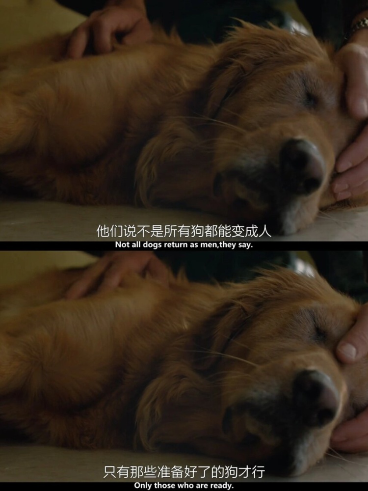 我爱看片——电影与生活的纽带-第1张图片