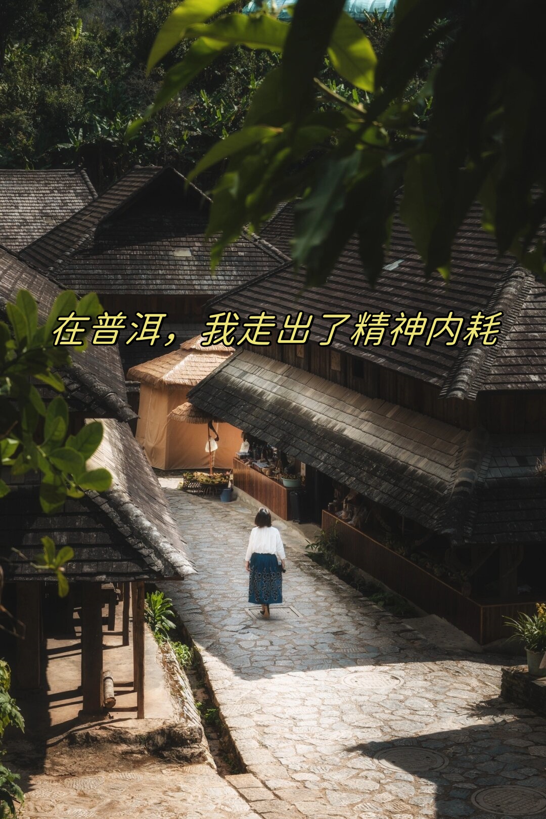 森林中的交易，一位70岁老人的十元故事-第2张图片