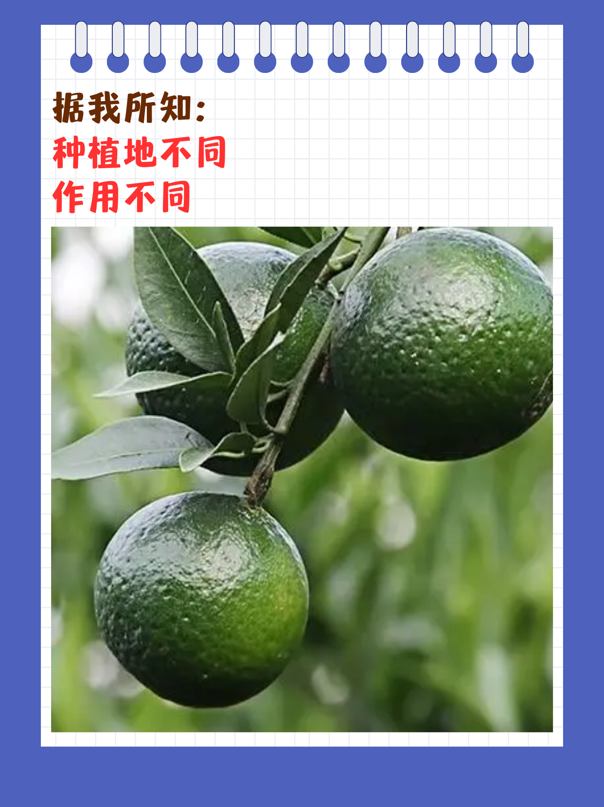 亚洲一线产区和二线产区区别是什么亚洲一线产区与二线产区，深度解析与差异-第1张图片
