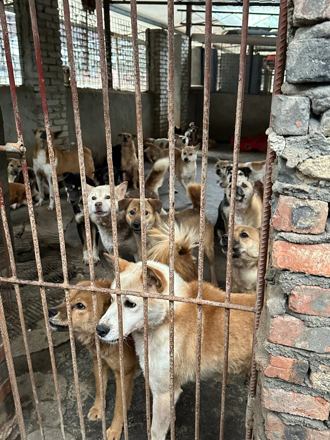 荡妇白洁荡妇白洁，一个复杂而引人深思的都市故事