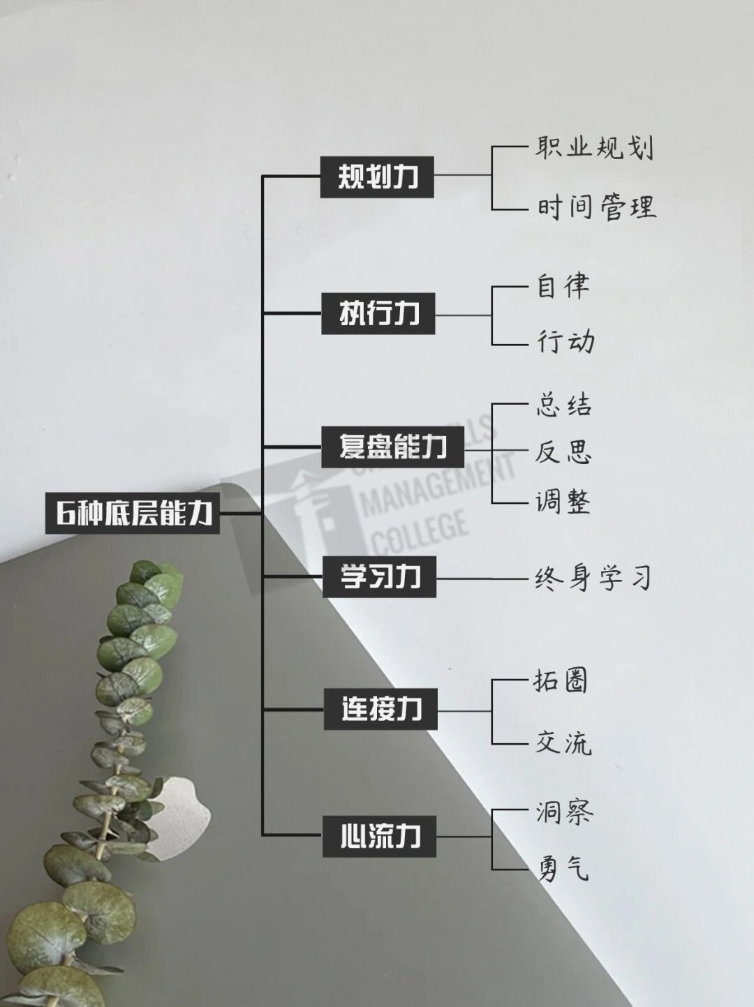 探索附近人一百元一次现象的背后