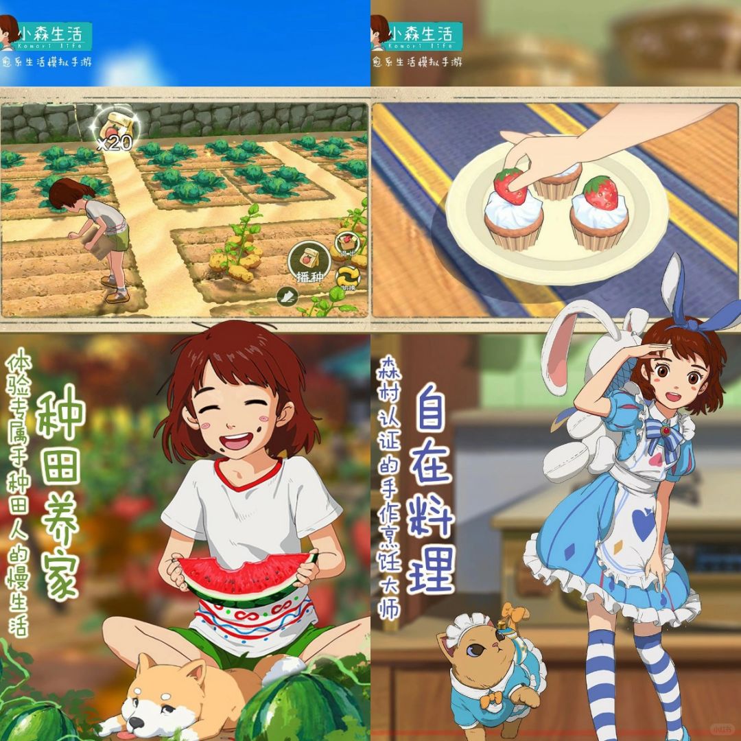 小森生活社团怎么退出小森生活社团，青春的色彩与生活的温度-第2张图片
