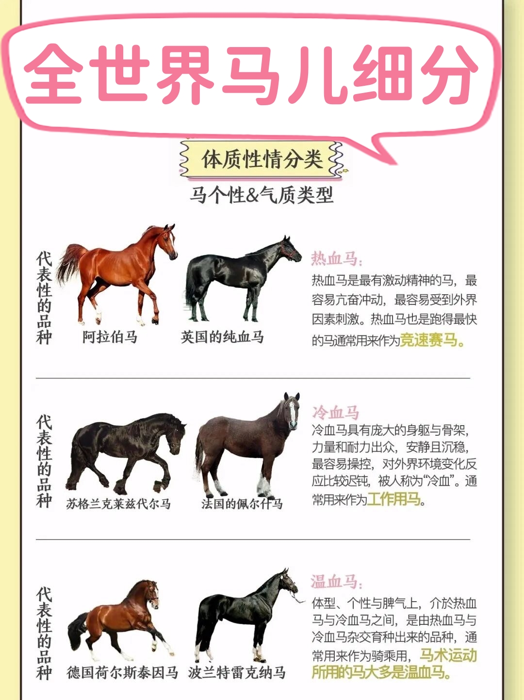 色播放的魅力与影响