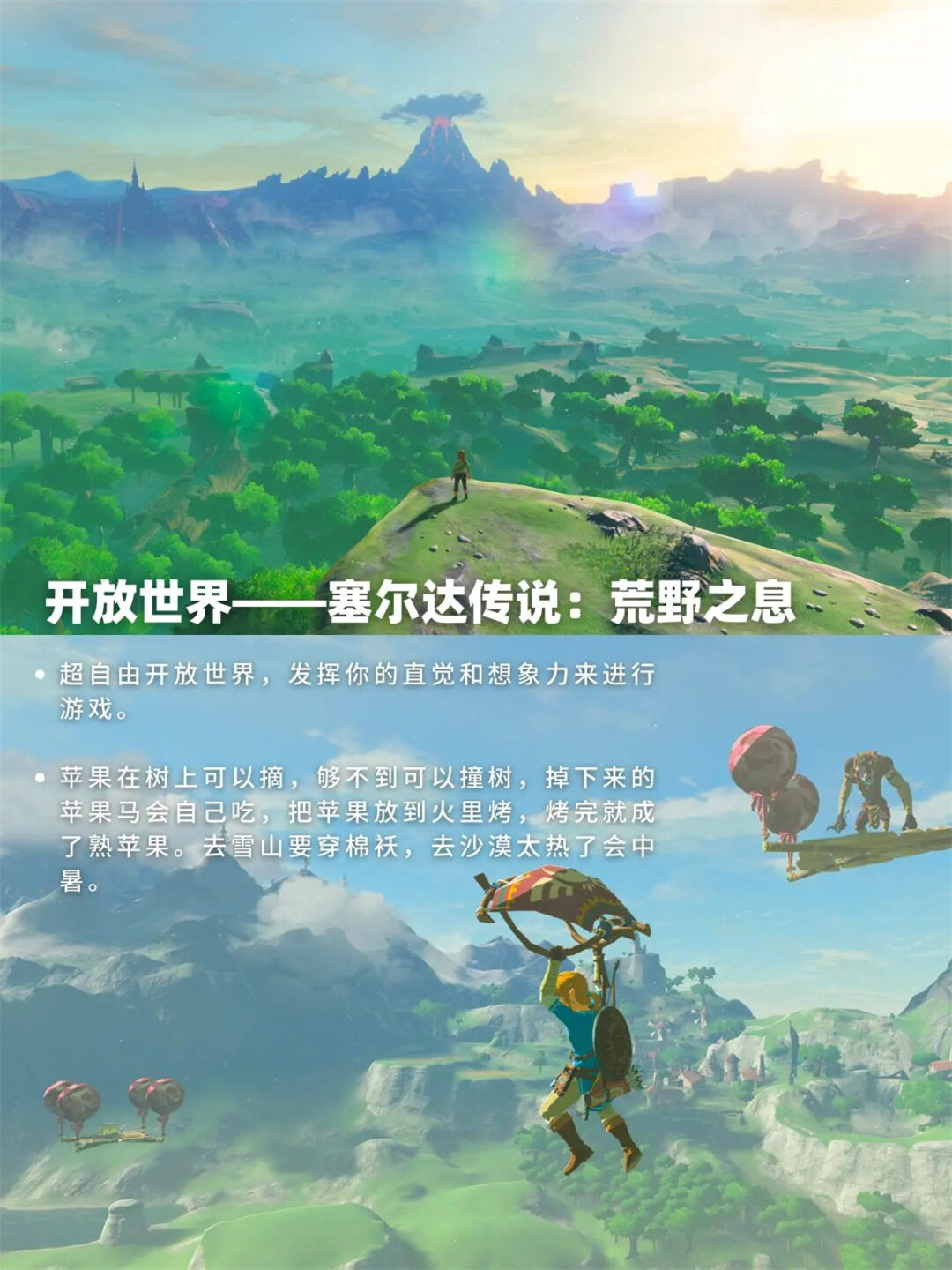 塞尔达传说 荒野之息塞尔达传说，荒野之息的魅力与探索-第3张图片