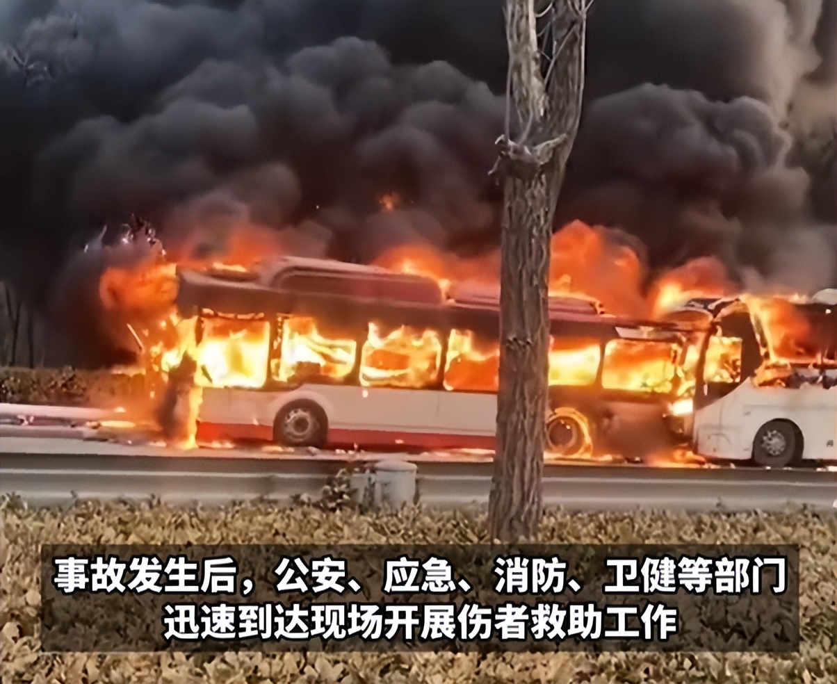 公交车上做了不该做的事情公交车上的不当行为及其影响-第1张图片