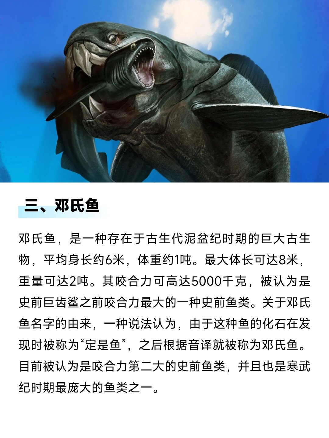 深渊巨兽，厄加特——神秘深海中的霸主-第2张图片