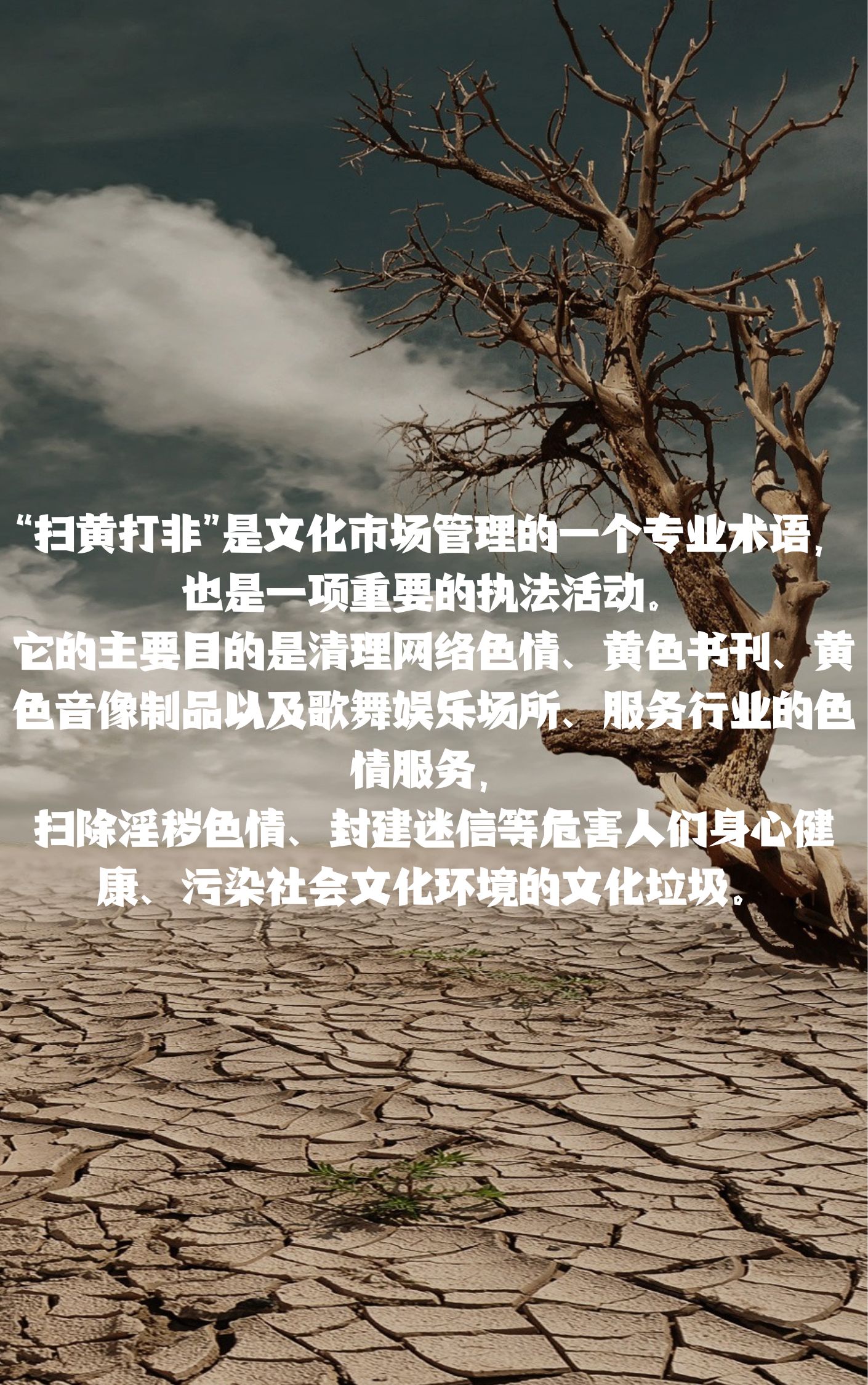 色情综合网，危害与防范