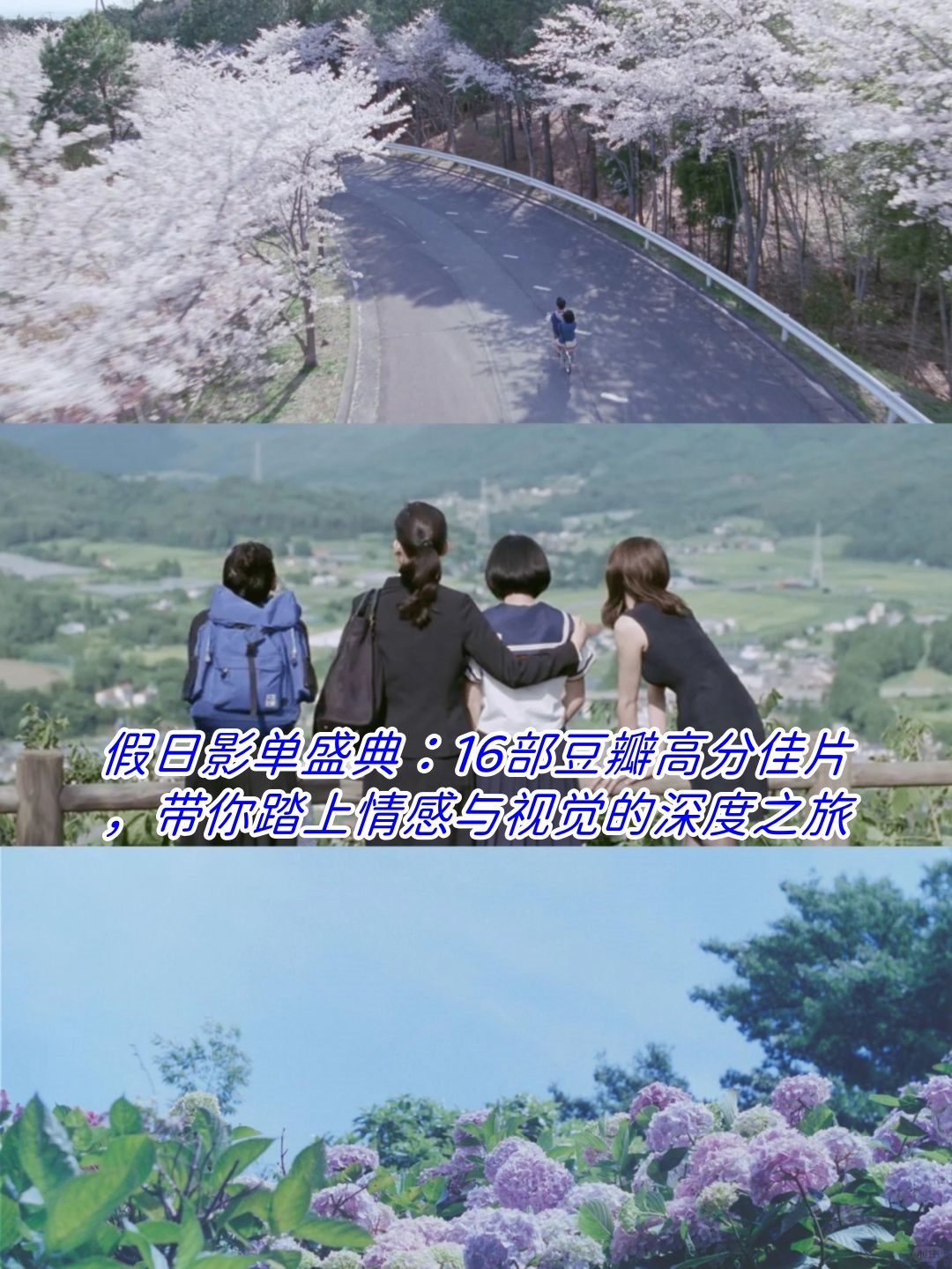 2012年国语电影之旅，中文字幕下的视听盛宴-第2张图片
