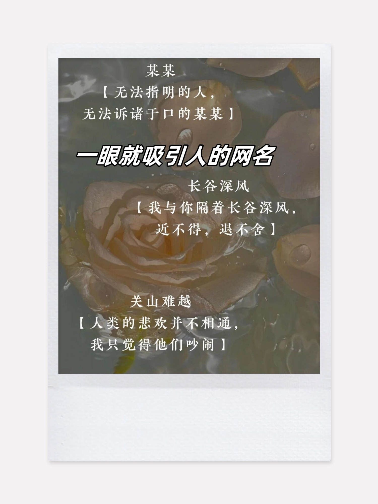 Tom汤姆叔叔的最新地域网名探索-第1张图片