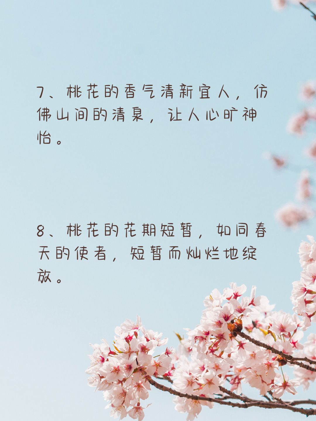 桃花视频免费之最桃花视频，在线观看视频的魅力之旅
