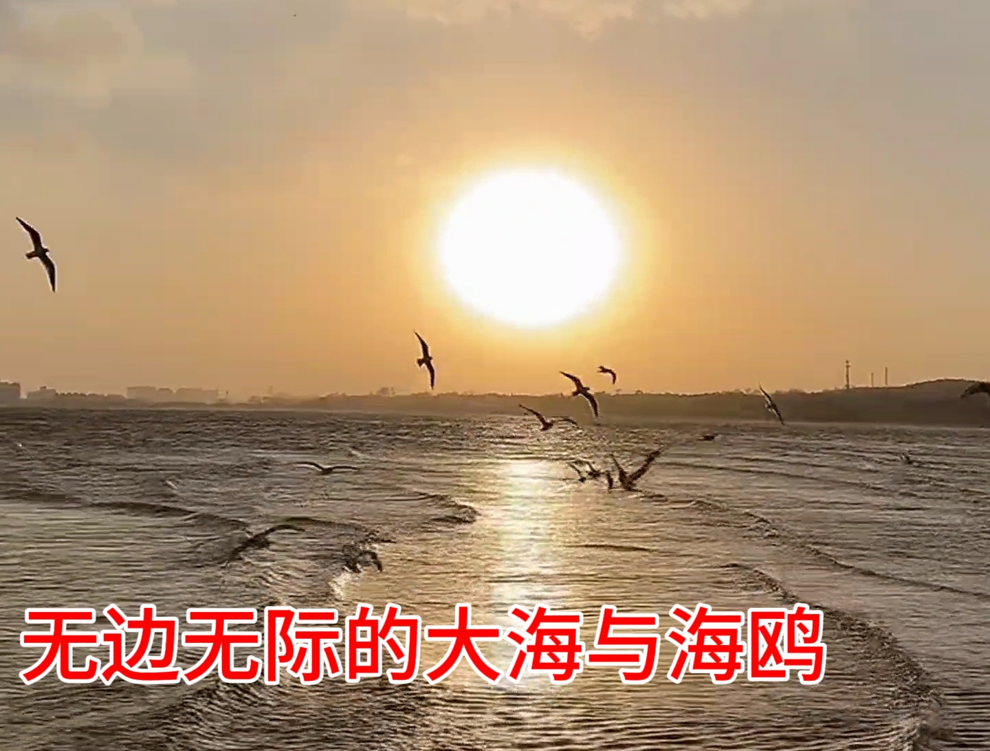 春暖花开微杏十年论坛探索性吧春暖花开论坛的魅力-第3张图片