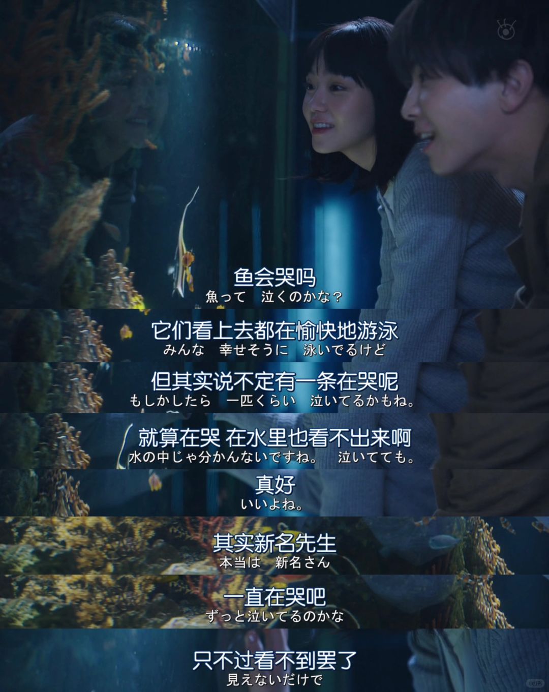 国外成人网址导航，探索与使用指南-第3张图片