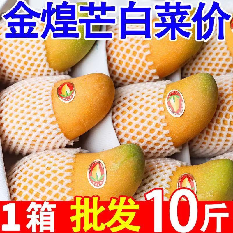 品味多彩芒果盛宴——芒果精品1区至4区详解-第1张图片