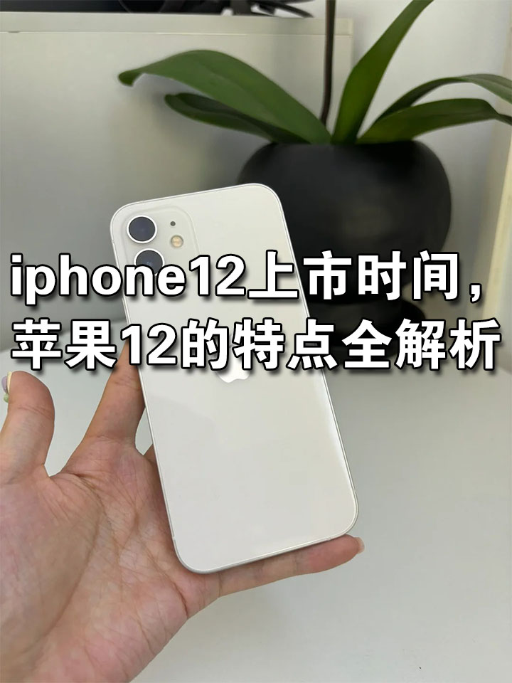 全面解析，iPhone 12的配置参数-第2张图片