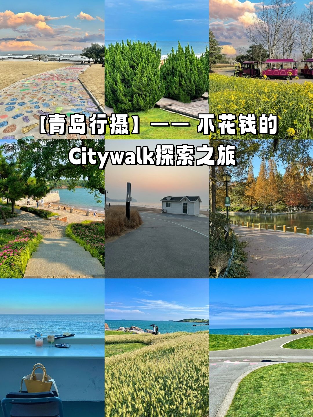 樱花官方正版官网的入口樱花官方正版官网的入口探索之旅