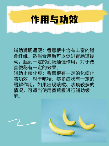 贝蒂寄生虫贝蒂寄生虫，一种被忽视的健康威胁-第2张图片