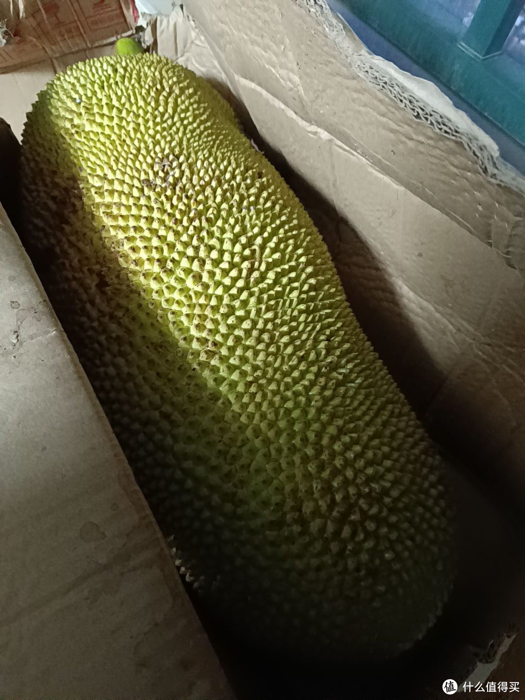 菠萝蜜视频免费播放高清菠萝蜜视频，免费播放高清的魅力之旅