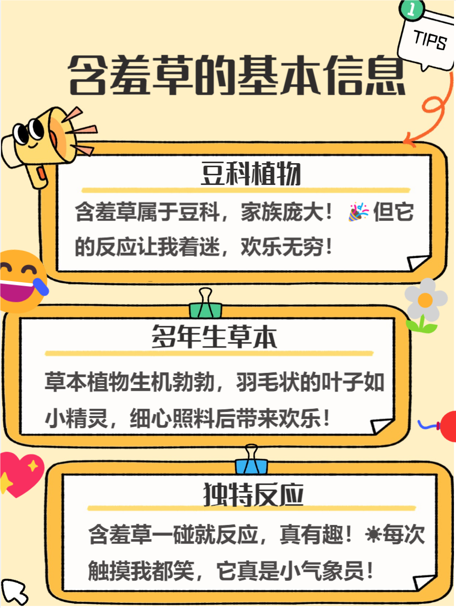 含羞草实验研究所入口免费网站直接进含羞草实验研究所，探索自然奥秘的免费开放平台-第2张图片