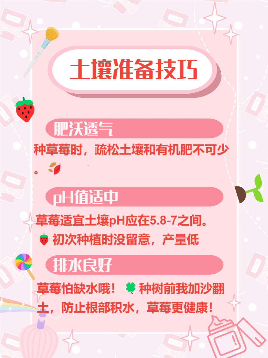 草莓视频在线观看入口的探索与体验