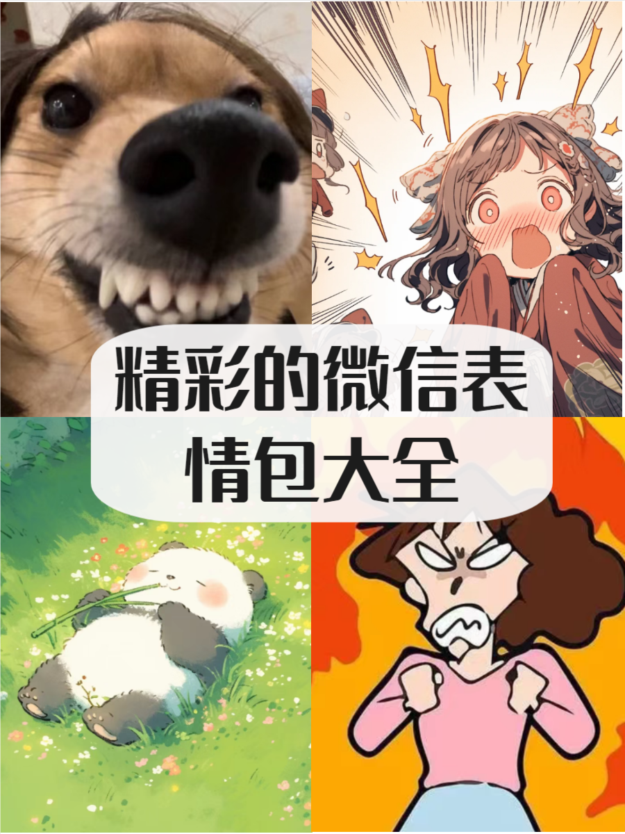 微信表情破解微信表情背后的秘密，微信表情破解的探索与解析-第1张图片