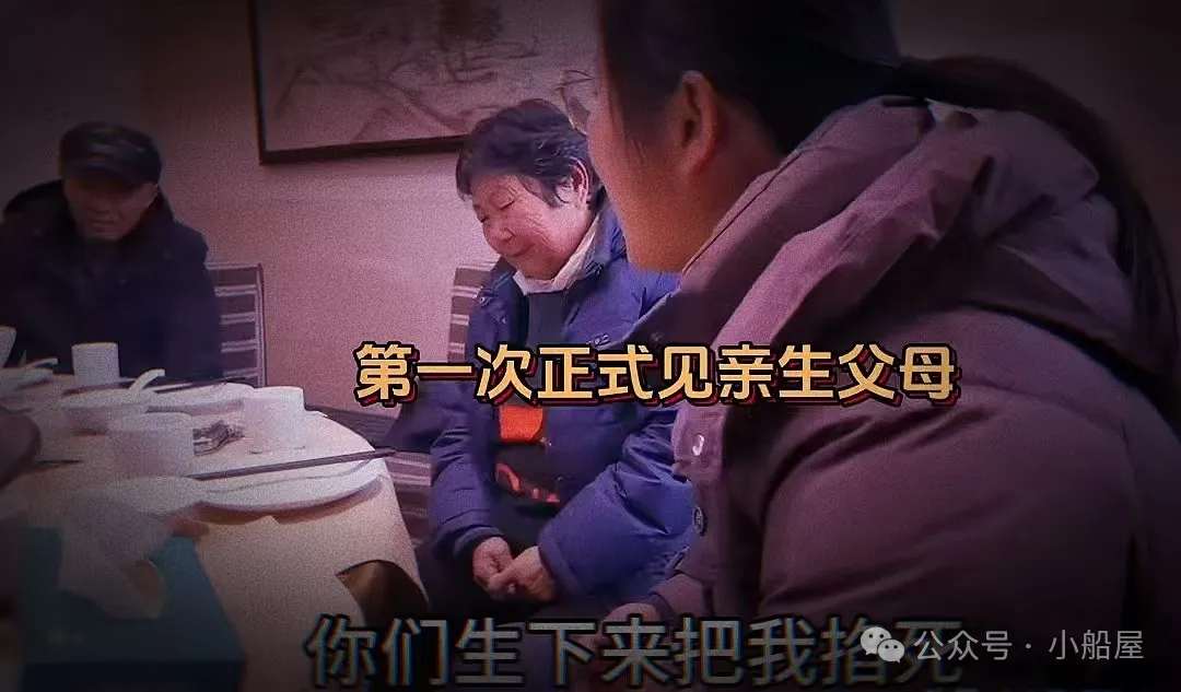 女主和养父又和养兄在一起了姓陆的小说陆家再续亲情，女主、养父与养兄的温馨团聚-第2张图片